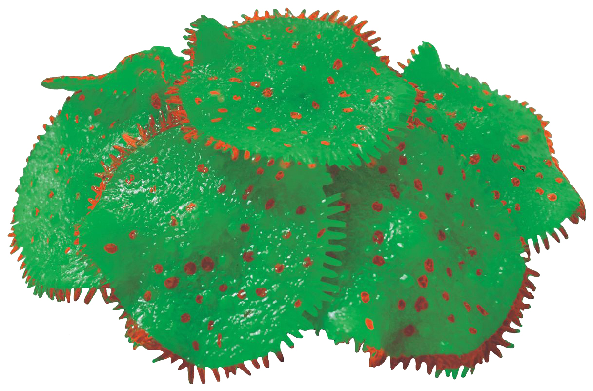 Искусственный коралл JELLY-FISH Актиния светящийся, зеленый, 10х10х8 см