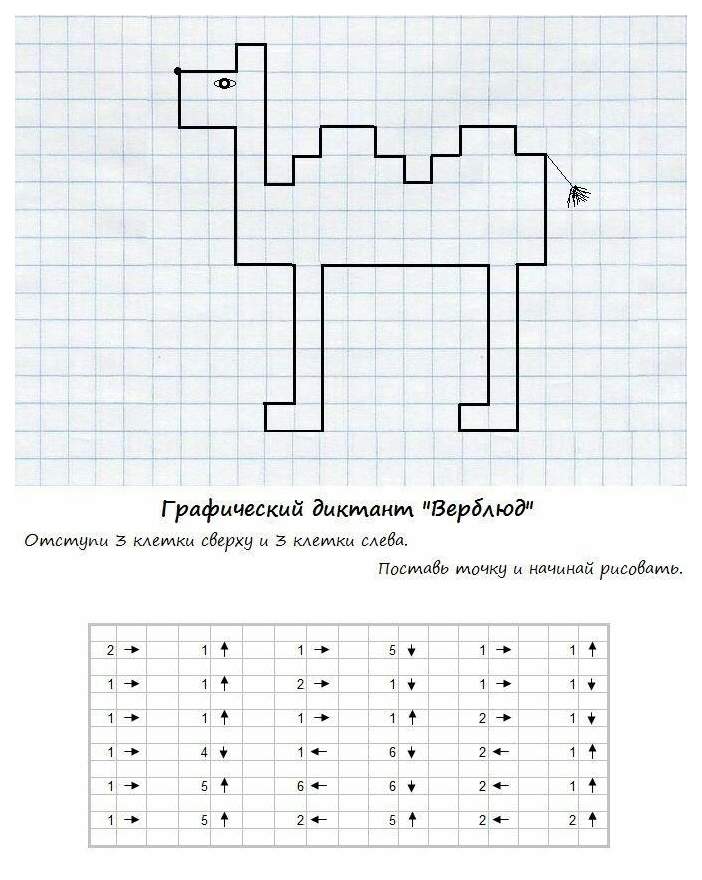 Графический д. Графический диктант 1 класс под диктовку. Графический диктант для дошкольников верблюд. Математический диктант клетка для дошкольников. Графический диктант носорог по клеточкам для 1 класса.