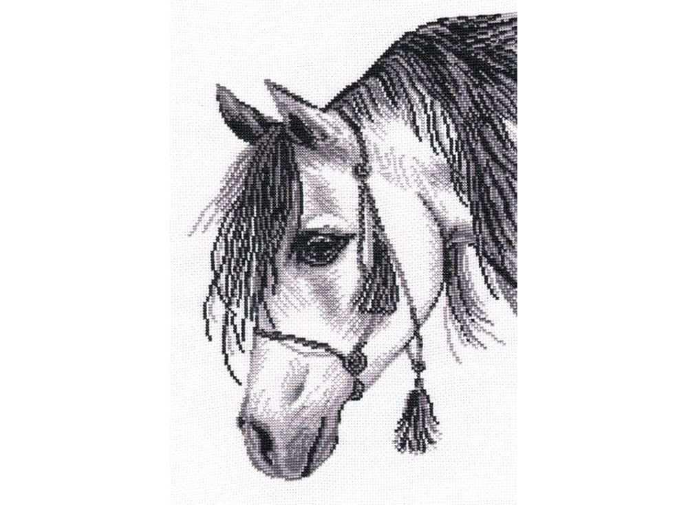 лошадь по знаку зодиака овен. созвездие лошади. овен лошадь характеристика. овен лошадь характеристика. лошади вид знак зодиака.