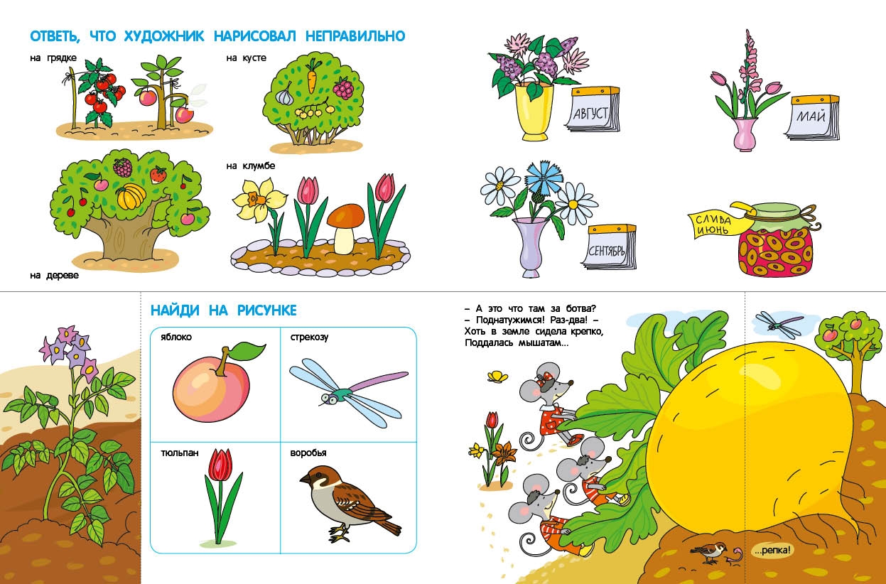 Лукашкина. Что Растет на Грядке? Морковка для Мышат. - купить развивающие  книги для детей в интернет-магазинах, цены на Мегамаркет |