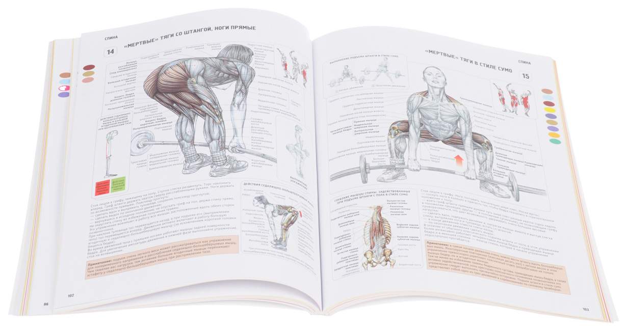 Анатомия тренировок. Анатомия силовых упражнений Фредерик Делавье. Анатомический атлас Фредерик Делавье. Фредерик Делавье анатомия силовых упражнений для женщин. Анатомия силовых упражнений Фредерик Делавье 5 издание.