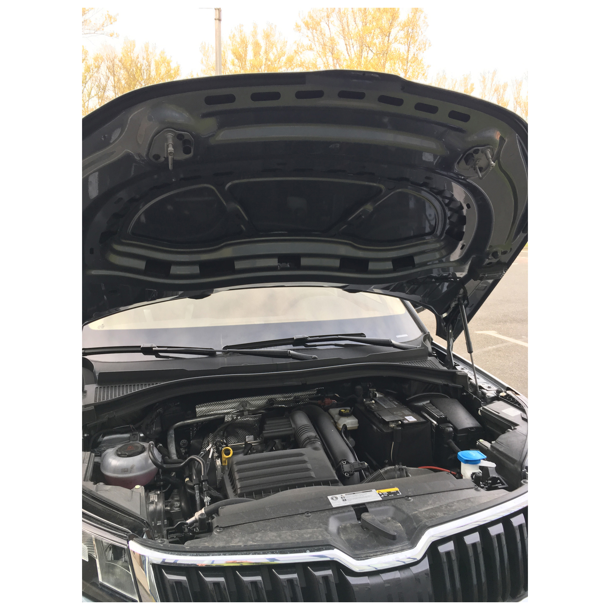 Skoda kodiak под капотом. Шумоизоляция капота шкода кодиак. Капот шкода кодиак. Капот шкода кодиак. Уплотнитель бокового стекла кодиак.