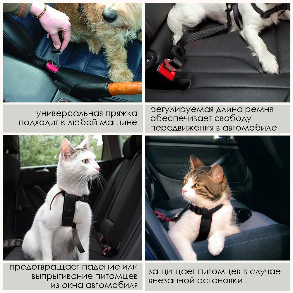 Ремень для собак в автомобиль, красный, 70х3 см, Pets & Friends PF-LEASH-03  – купить в Москве, цены в интернет-магазинах на Мегамаркет