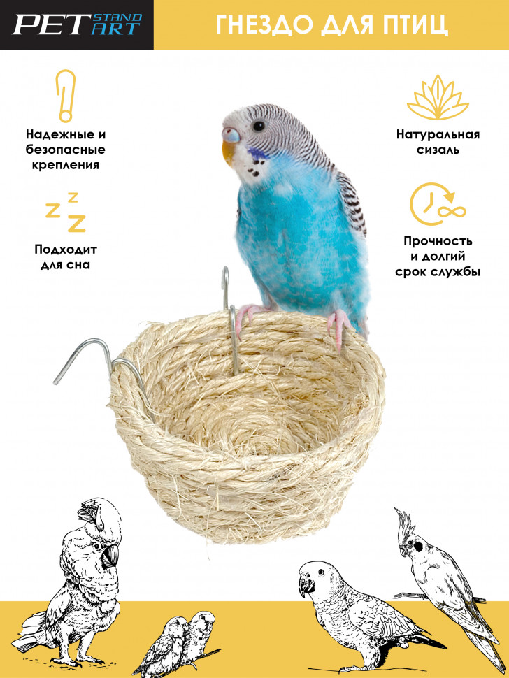 Гнездо для попугаев: как выбрать домик, ухаживать и что класть, рекомендации
