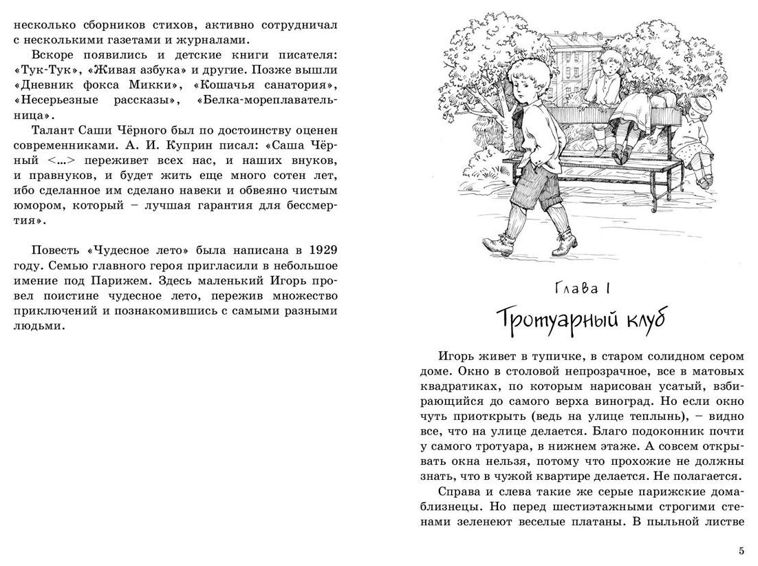 Чудесное лето - купить детской художественной литературы в  интернет-магазинах, цены на Мегамаркет |