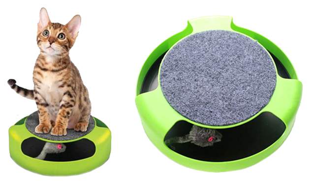 Развивающая игрушка для кошек Спектр Поймай мышку Catch The Mouse, зеленый,  25 см - отзывы покупателей на маркетплейсе Мегамаркет | Артикул  товара:100024968150