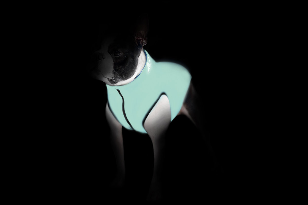 Куртка для собак AiryVest Lumi, двухсторонняя, зелено-голубая, светится в темноте, S35
