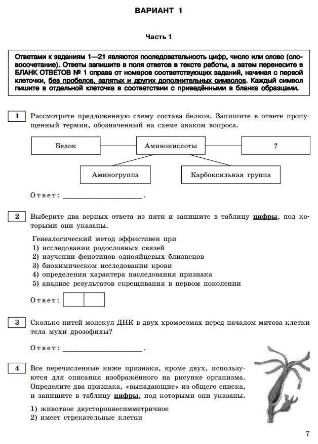 Егэ биология задания. Решить вариант егэ по биологии. Типовые задания егэ по биологии 2022. Огэ биология 2024 задания. Рохлов биология 2023 сборник.