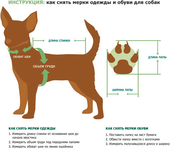 Выкройка попоны для бульдога. » Бесплатные выкройки одежды, игрушек на выкройка.ру Страница 0