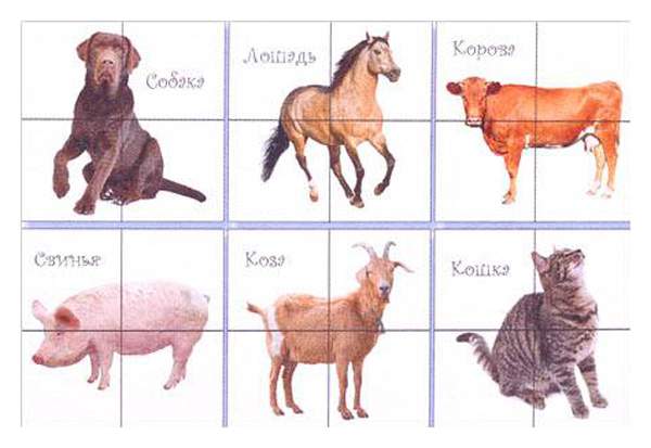 Кубики с картинками Десятое королевство Домашние животные 4 шт.