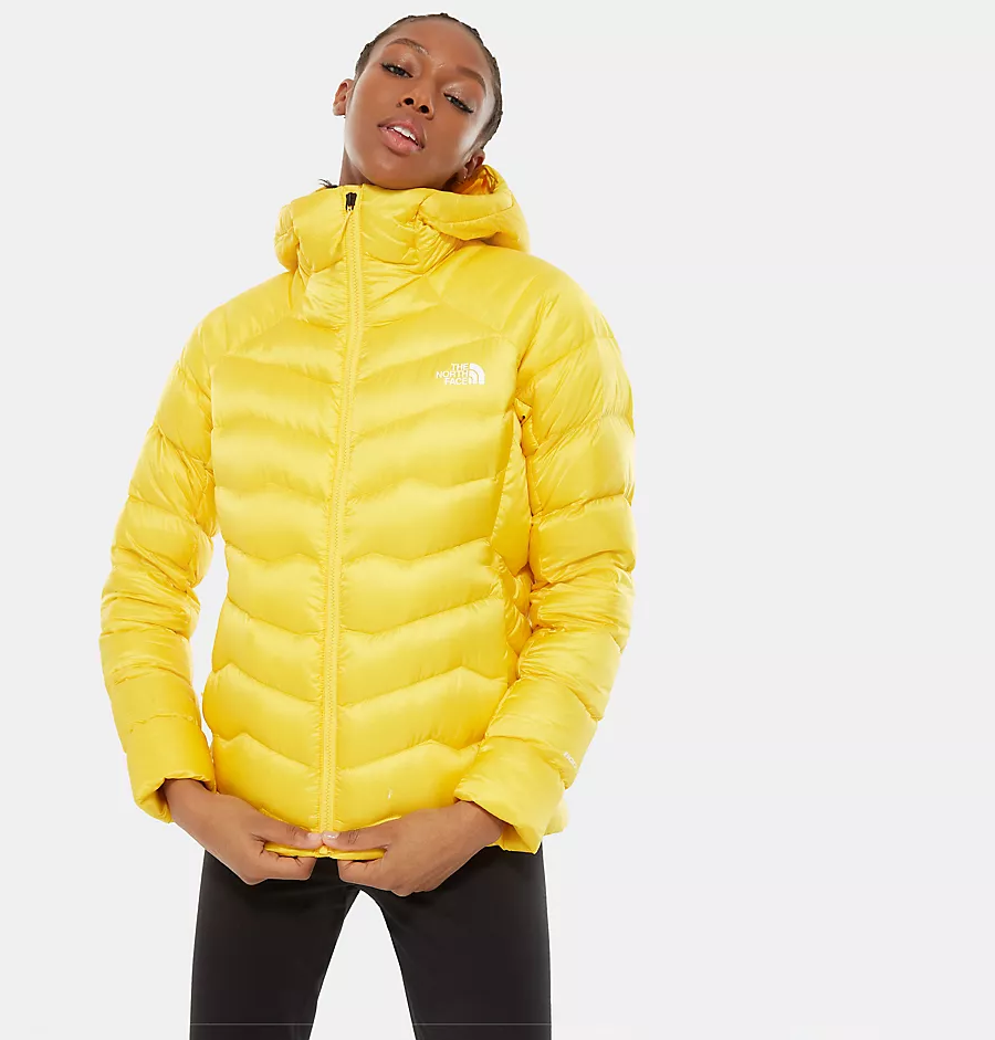 North face impendor down hoodie on sale