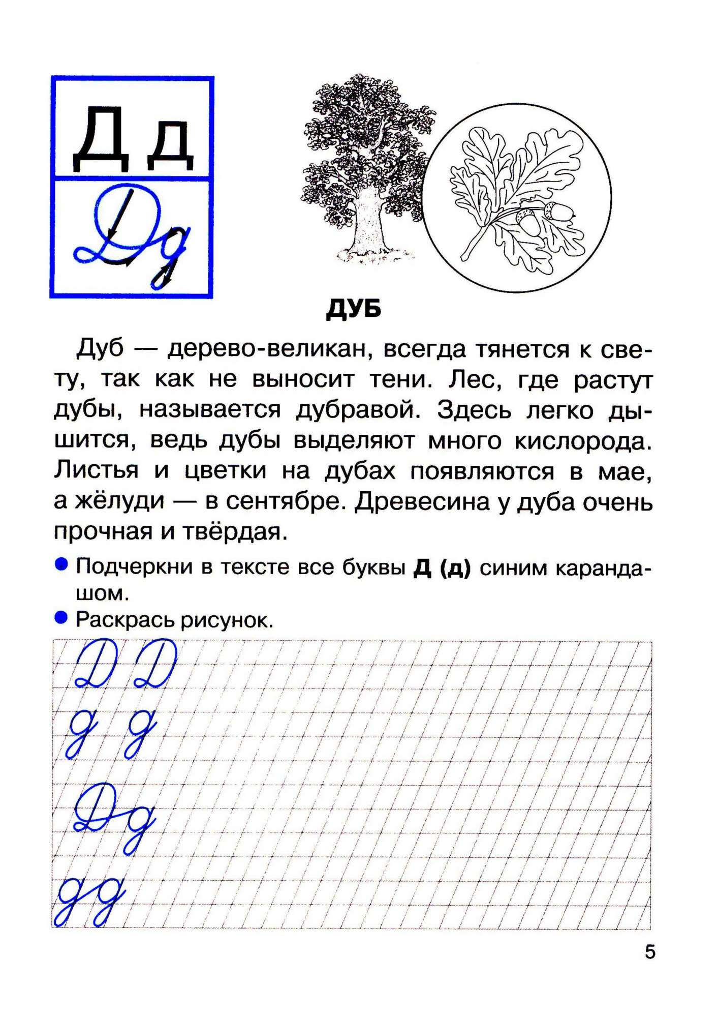 Прописи для 1 класса. прописи С Рассказами о Растениях. (Фгос) - купить  рабочей тетради в интернет-магазинах, цены на Мегамаркет |