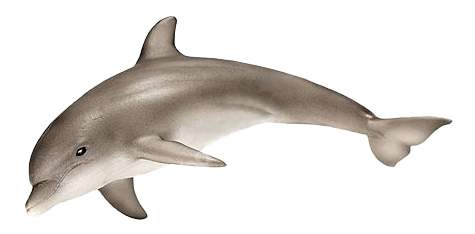 Фигурка животного Schleich Дельфин