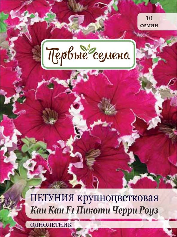 Петуния канкан бургунди фото