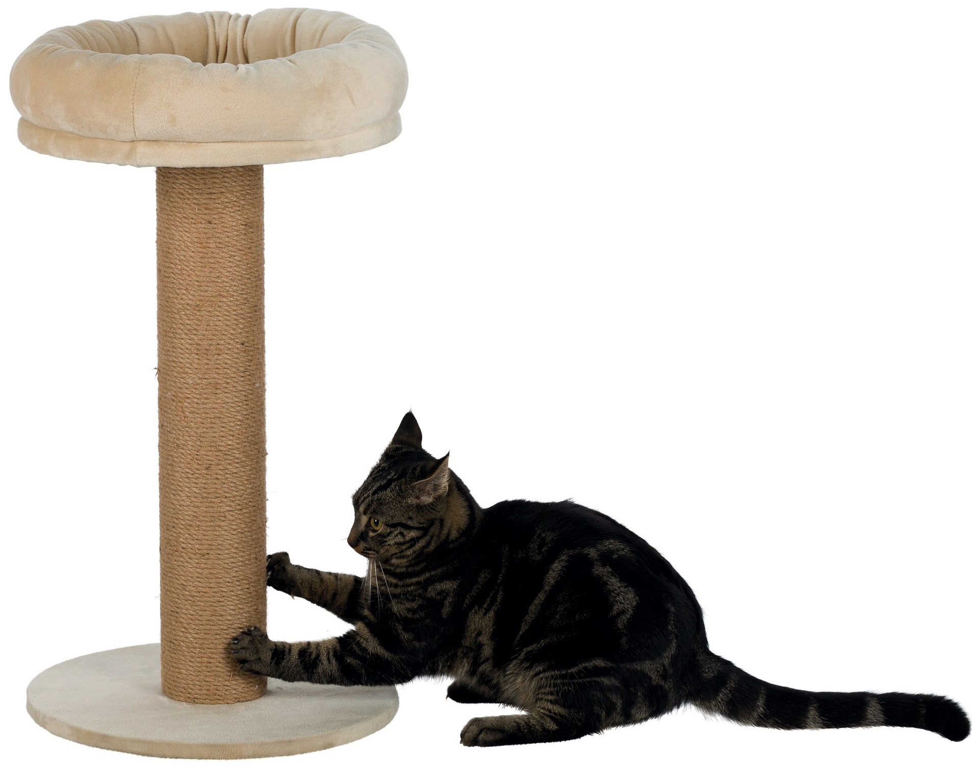 Недорогие когтеточки для кошек. Когтеточка Trixie (48001). Когтеточка "cтолбик №20 Голиаф", 410*410*740мм. Когтеточка с лежанкой. Когтеточка высокая для кошек.