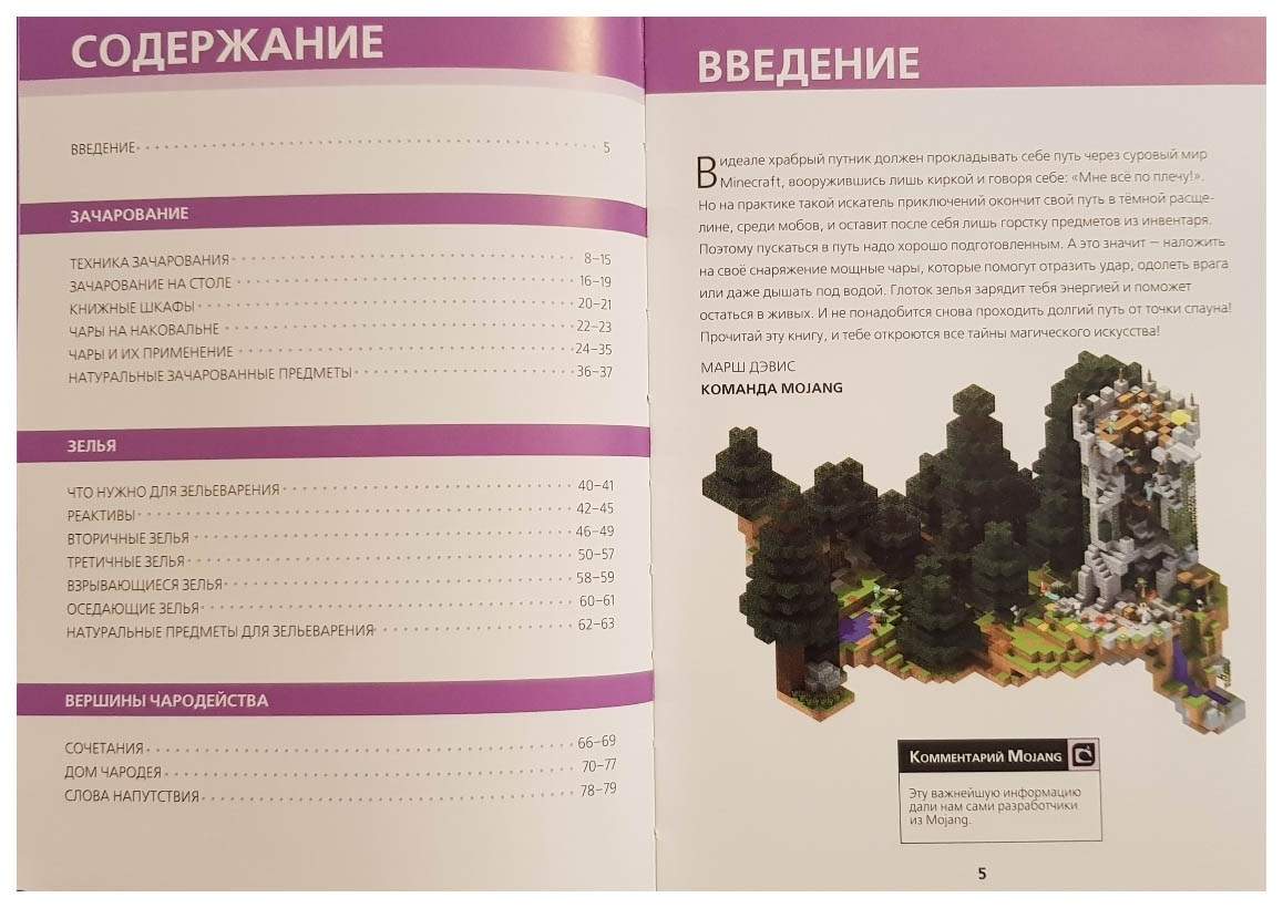 Зелья и чары. Minecraft – купить в Москве, цены в интернет-магазинах на  Мегамаркет