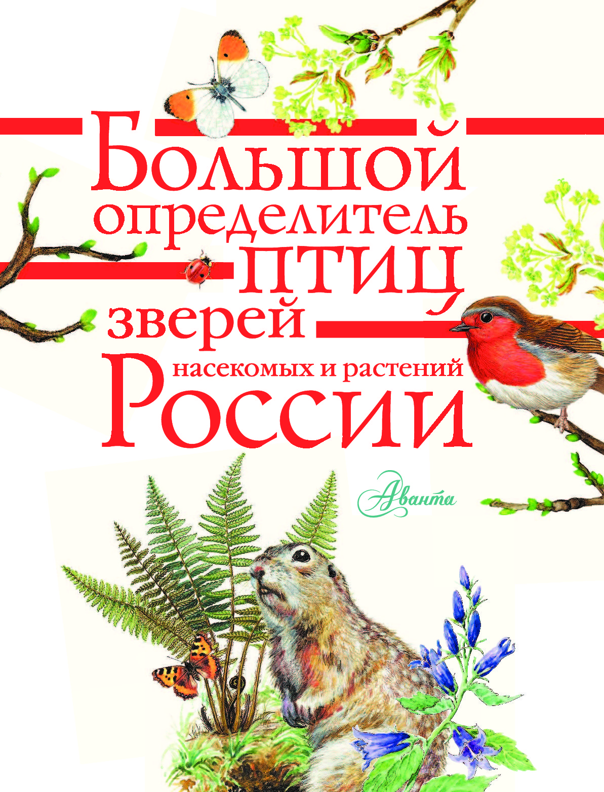 Определитель животных. Волцит определитель птиц. Волцит п.м., Пескова и.м. 