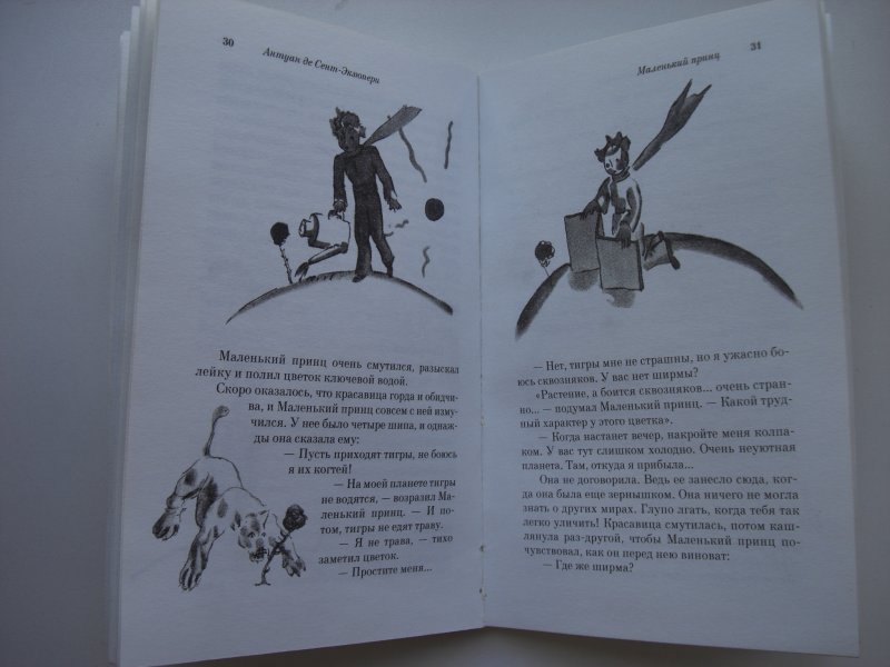 Счастливый принц главная мысль. Плененный принц новелла. Маленький принц губернский театр. С. Принц отзывы.