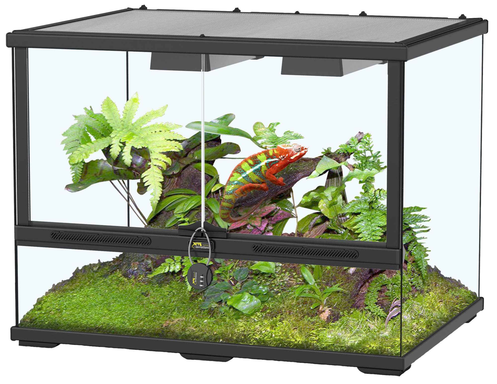 Вивариум отзывы. Террариум Aquatlantis Terrarium 