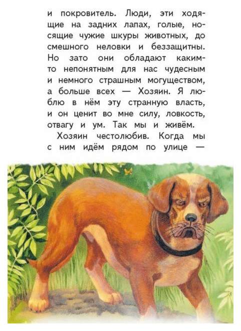 Детский проект на тему жизнь собак Сапсан: рассказы о собаках - характеристики на Мегамаркет
