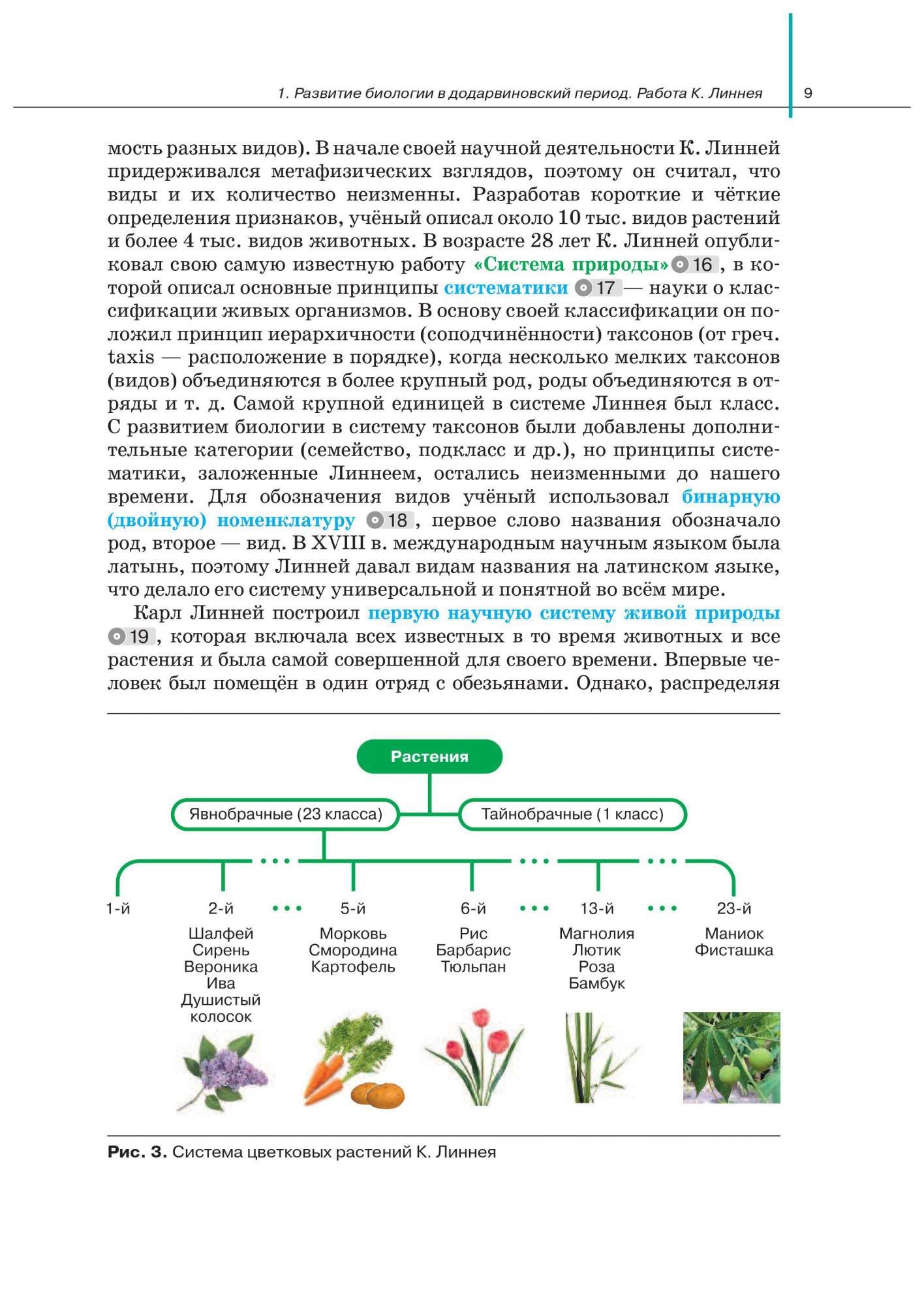 Учебник Сивоглазов. Биология. 11 кл. Базовый и Углубленный Уровень. ФГОС -  купить учебника 1 класс в интернет-магазинах, цены на Мегамаркет |