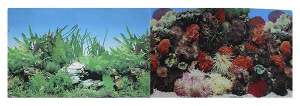 Фон для аквариума Prime Кораллы/Растительный, винил, 60x30 см