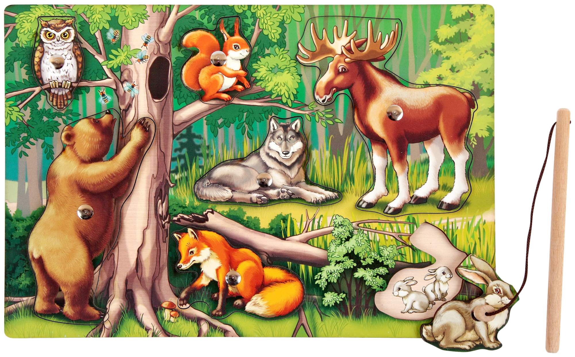 Животные леса для детей