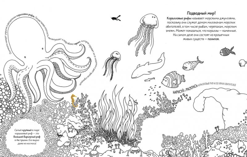 Задание морские обитатели. Морские обитатели задания. Подводный мир задания. Жители океана задания для дошкольников. Подводный мир задания для детей.