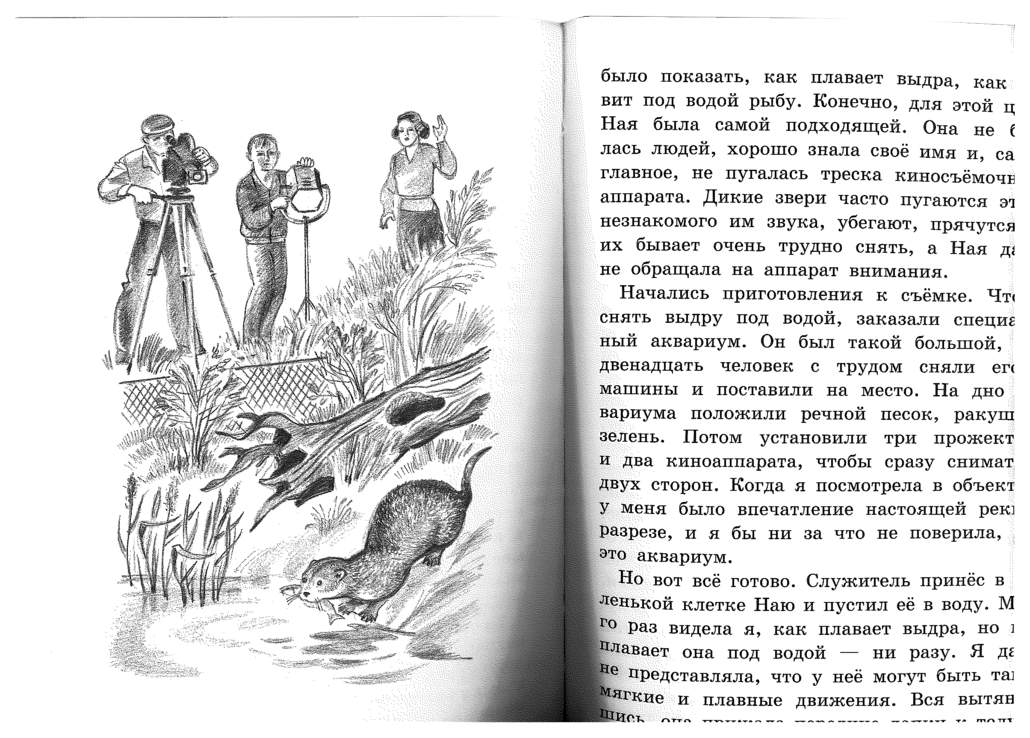 Рассказы ждановны воробушек глава 24. Чаплина наш Воробушек пик книга. Наш Воробушек пик читать.