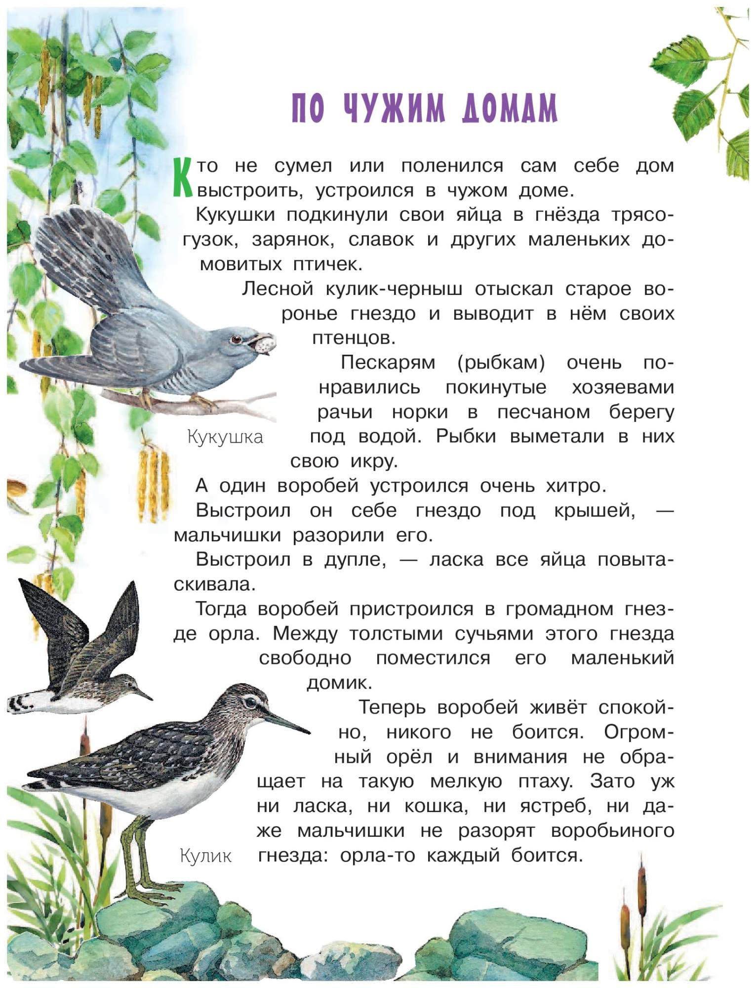 Рассказы и сказки о природе – купить в Москве, цены в интернет-магазинах на  Мегамаркет