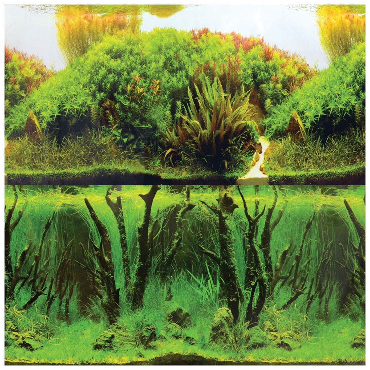 Фон для аквариума Laguna Зеленые холмы/Подводный лес, ламинированная бумага, 1500x50 см