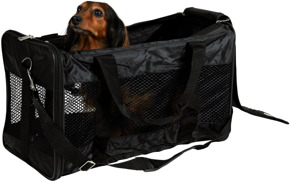 Собаки в сумках переносках