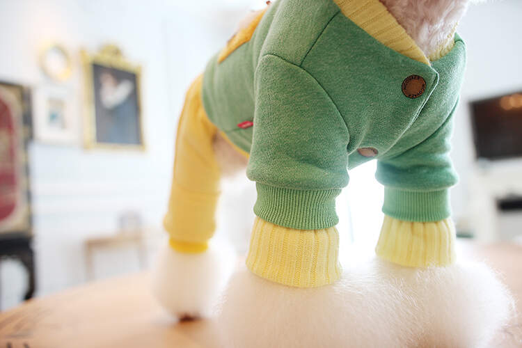 Костюм для собак и кошек Nicovaer Игрушка, унисекс, зеленый, XL, длина спины 35 см