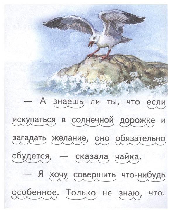 Чайка рецензия. Книга про дельфиненка. Сорин Чайка характеристика образовака.