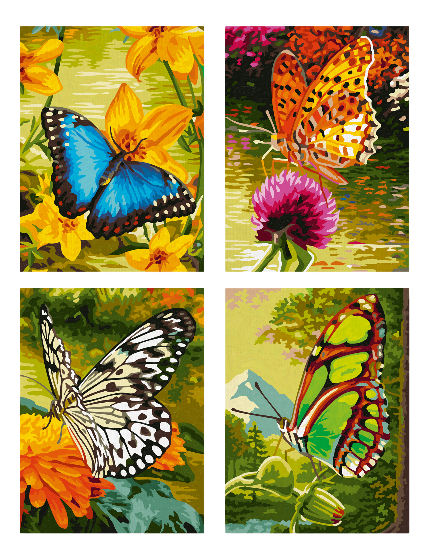 Картины По Номерам Schipper Купить В Москве