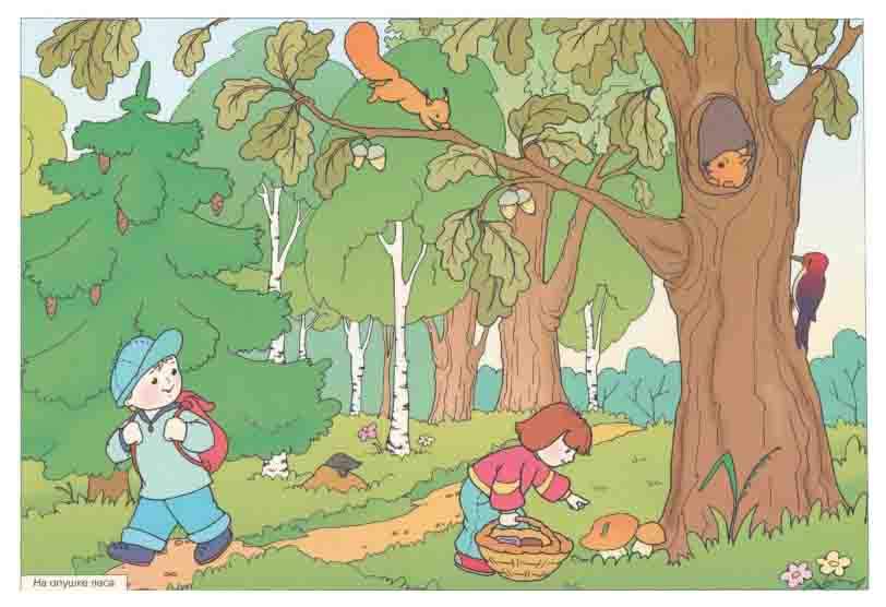 Развитие речи средняя группа картина на полянке. Сюжетные картины для детей. Сюжетная картина для дошкольников лес. Прогулки в лесу с детьми. Сюжетная картина в лесу.
