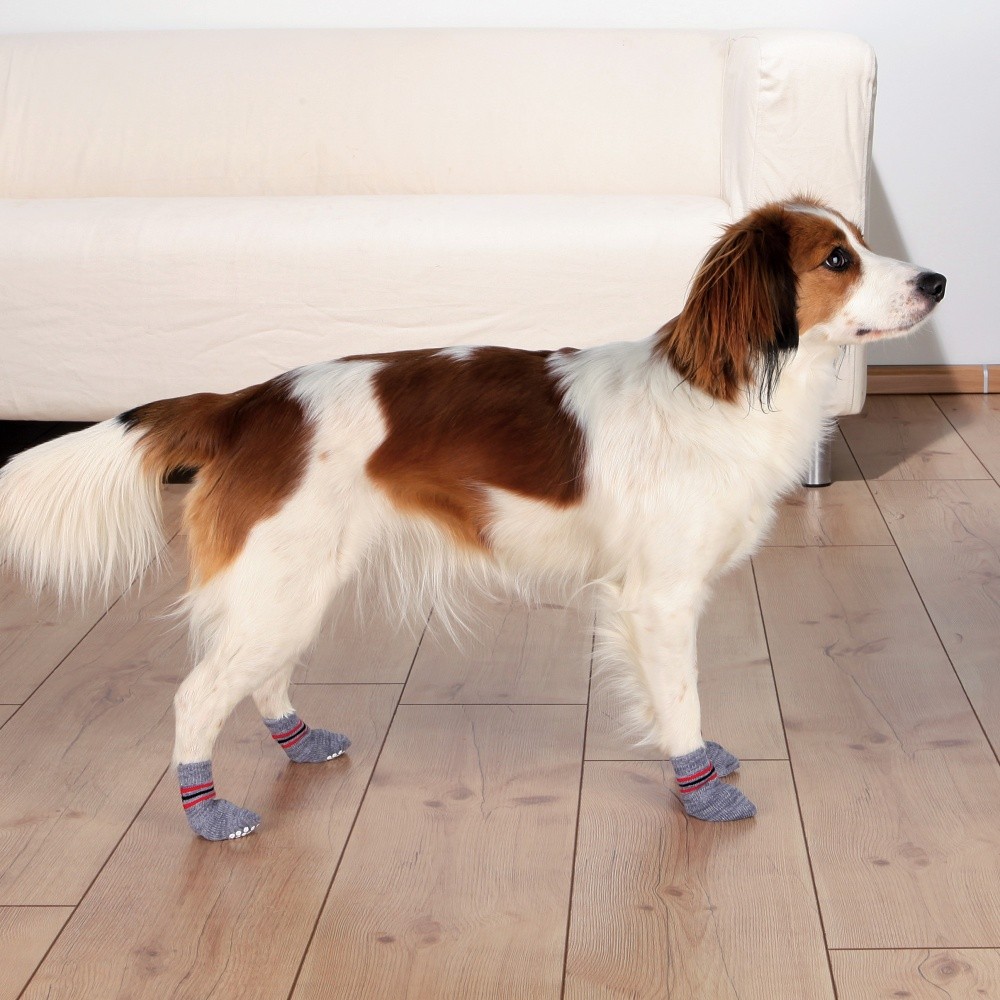 Носки для собак Trixie Dog Socks, нескользящие, серые, XS-S, 2 шт.