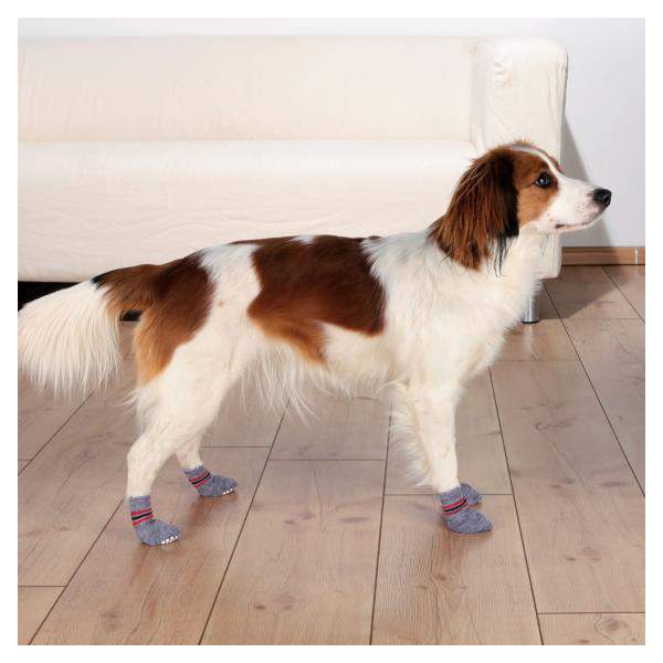 Носки для собак Trixie Dog Socks, нескользящие, серые, XS-S, 2 шт.