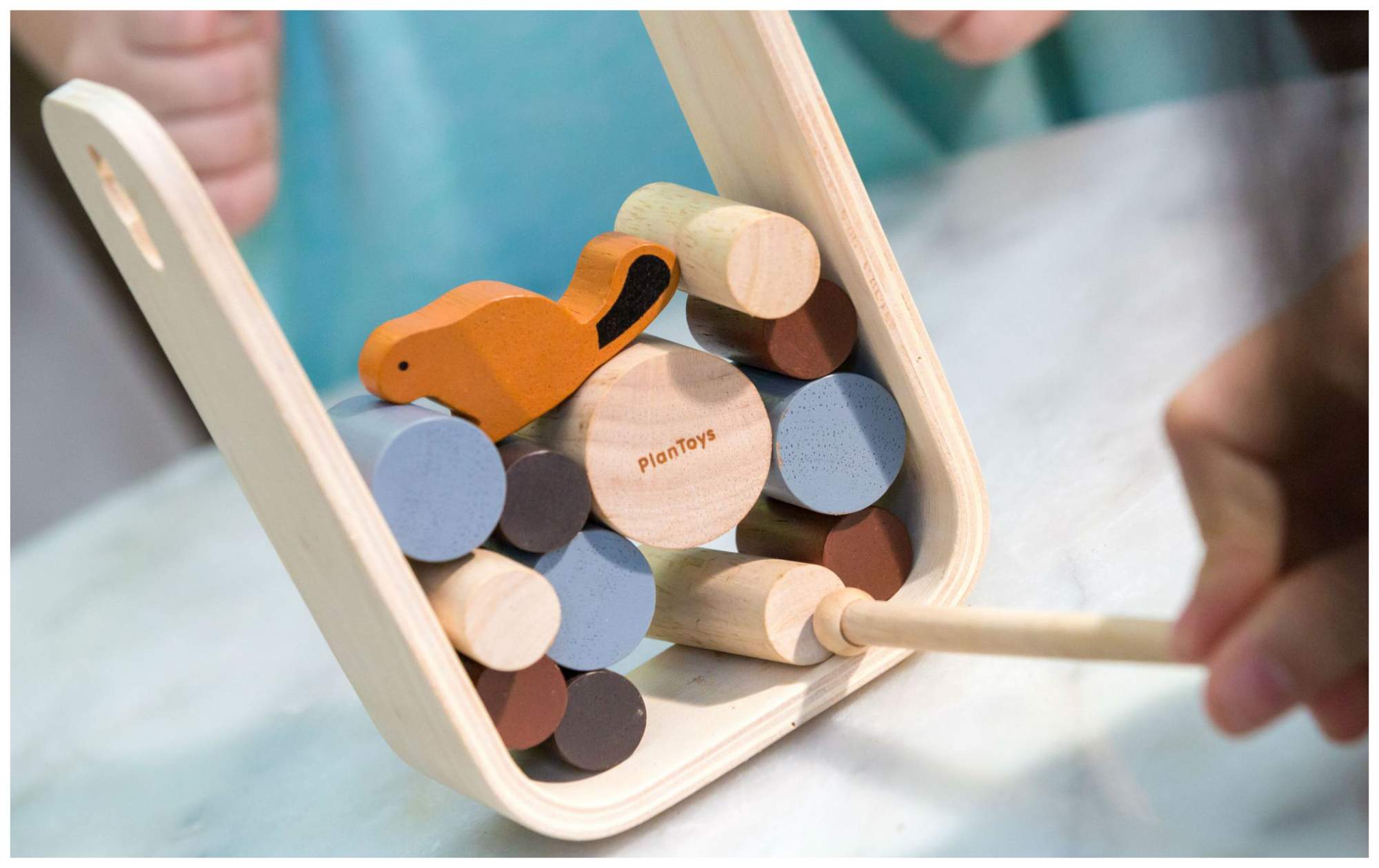 бобер и бревнышко. бобер и бревнышко. фото бобра. бобер и бревнышко. деревья поваленные бобрами.