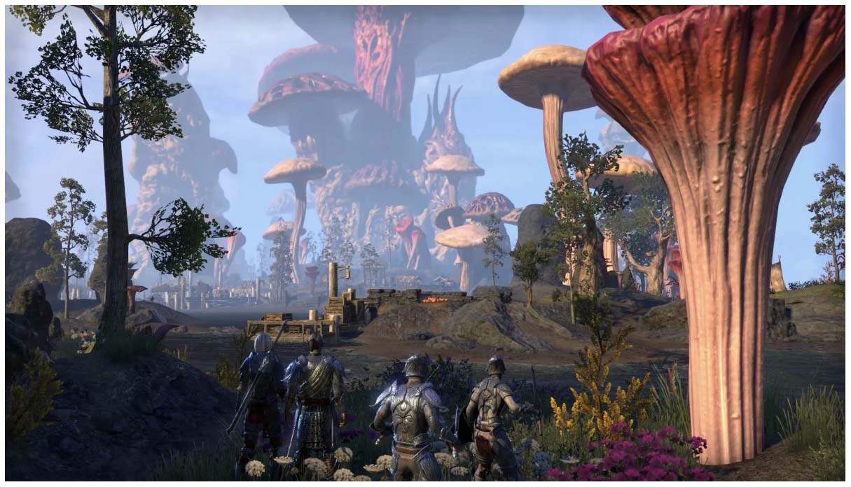 Игра Elder Scrolls Online: Morrowind для PlayStation 4 - купить в Москве,  цены в интернет-магазинах Мегамаркет