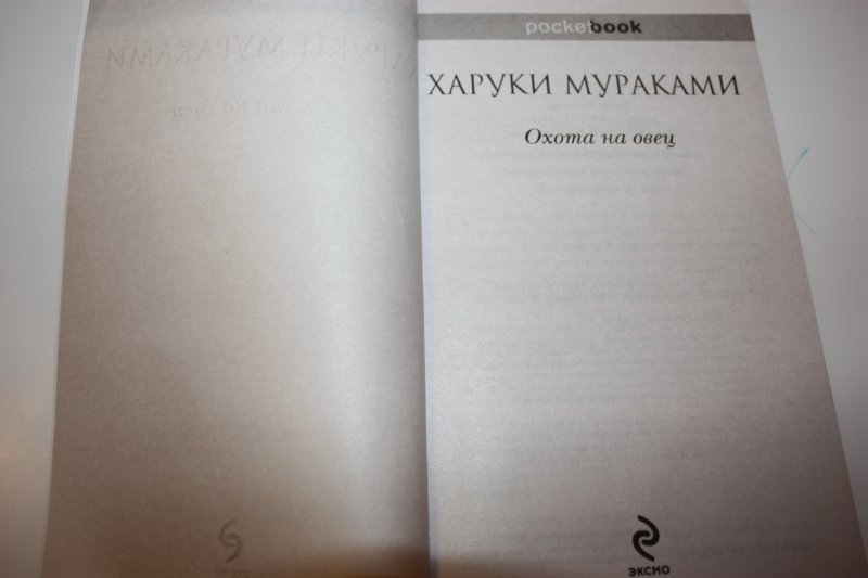 Охота на овец о чем. Охота на овец книга. Охота на овец Харуки Мураками книга. Охота на овец Харуки Мураками. Охота на овец.