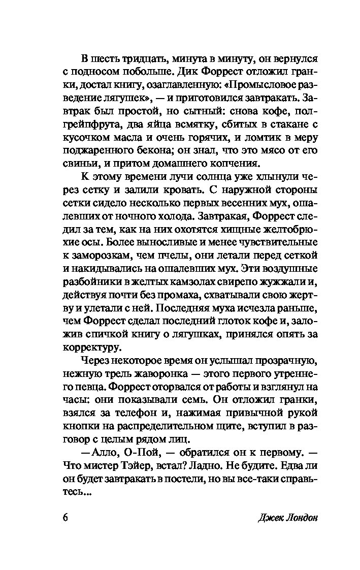 Маленькая Хозяйка Большого Дома - характеристики и описание на Мегамаркет |  100024897563