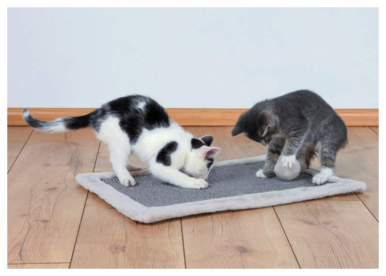 Когтеточка для кошек Trixie Scratching Mat, размер 55х35см,, светло-серый