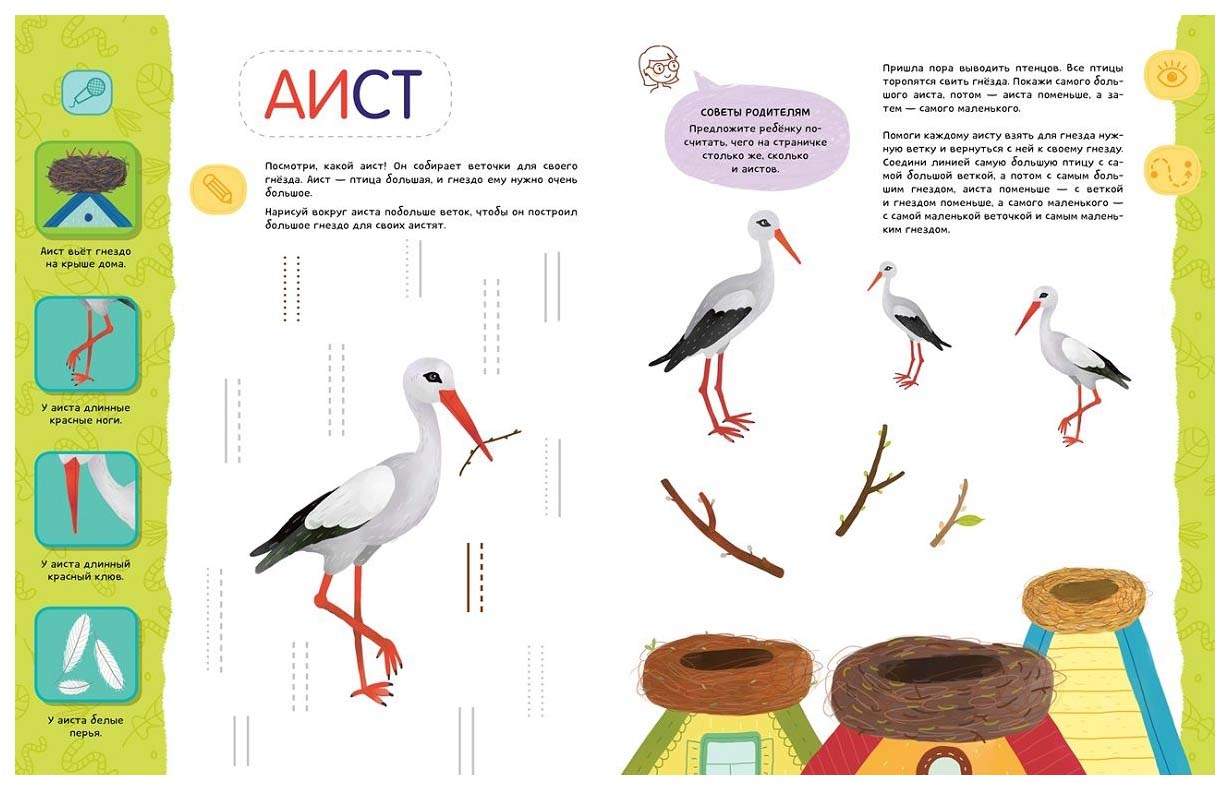 Птицы детям 5 лет. Задание для дошкольников Аист. Задания для детей про аистов. Развивающие задания Аист для детей. Игра Аист для детей.