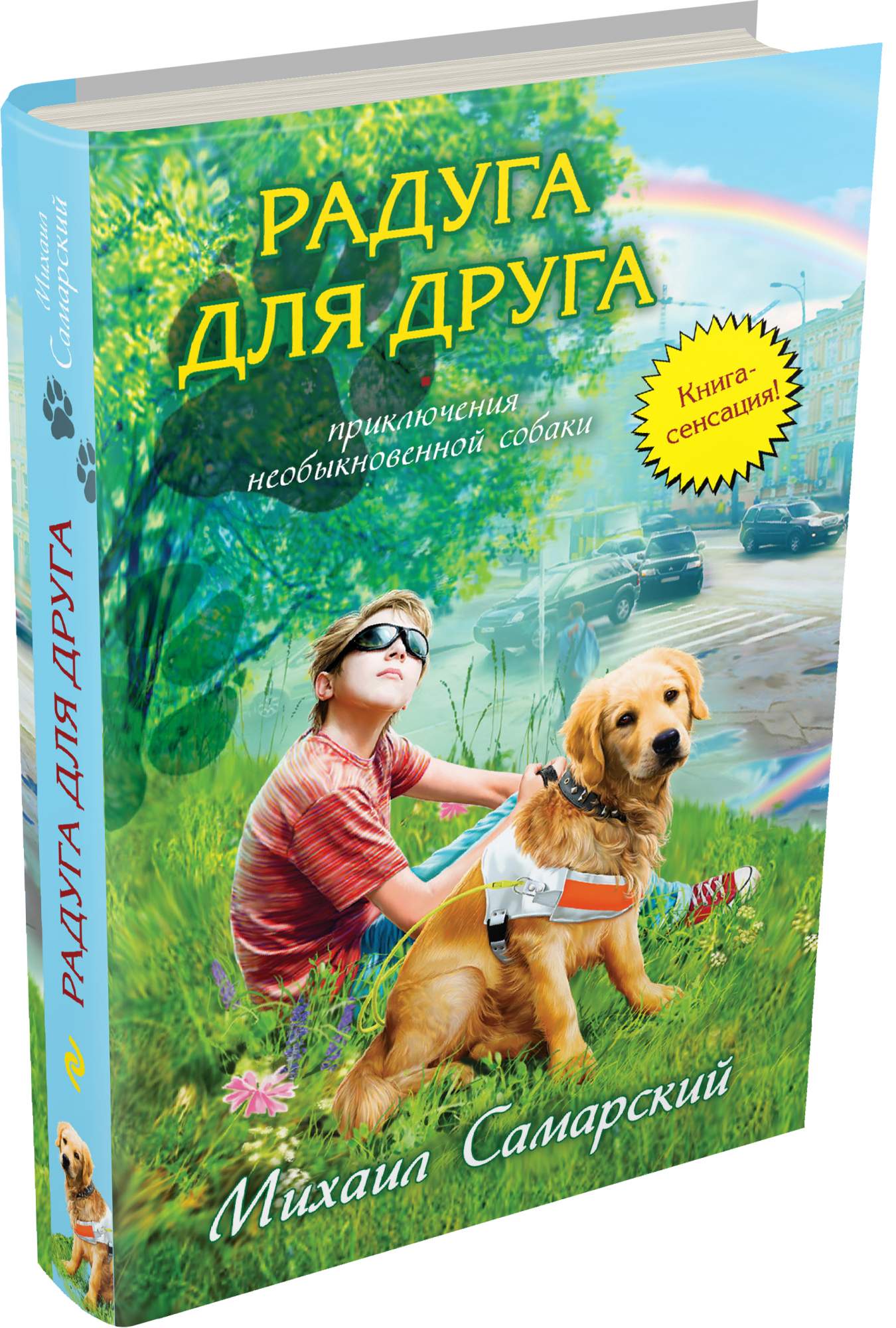 Радуга для друга. Радуга для друга Михаил Самарский. Михаил Самарский Радуга для друга Трисон. «Радуга для друга» Михаил Самарский 2010 г.. Радуга для друга Михаил Самарский книга.