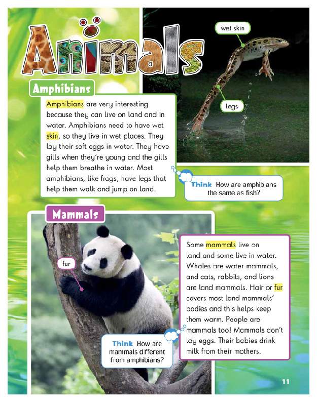 Читать animals
