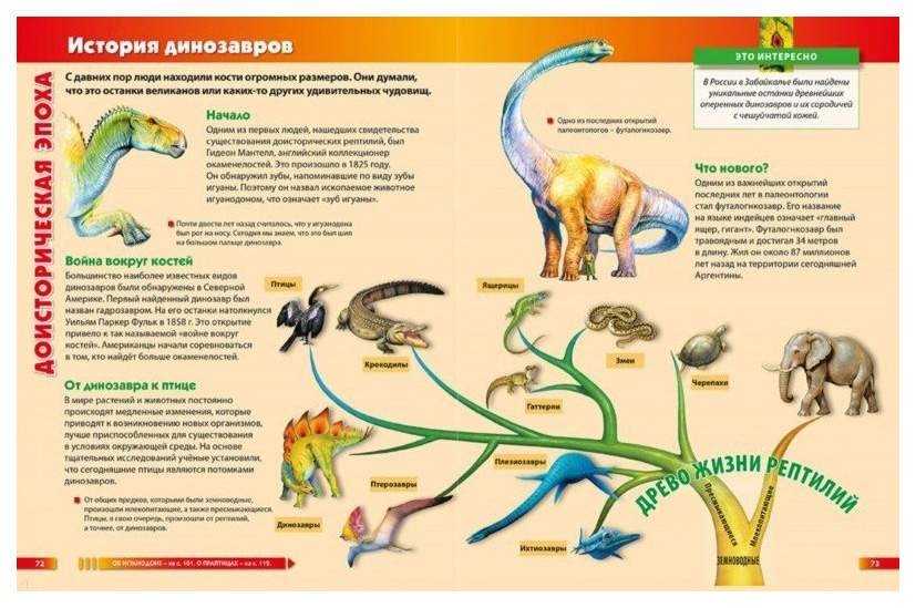 Динозавры (Энц. для малышей) Энциклопедия для малышей. Детские книги