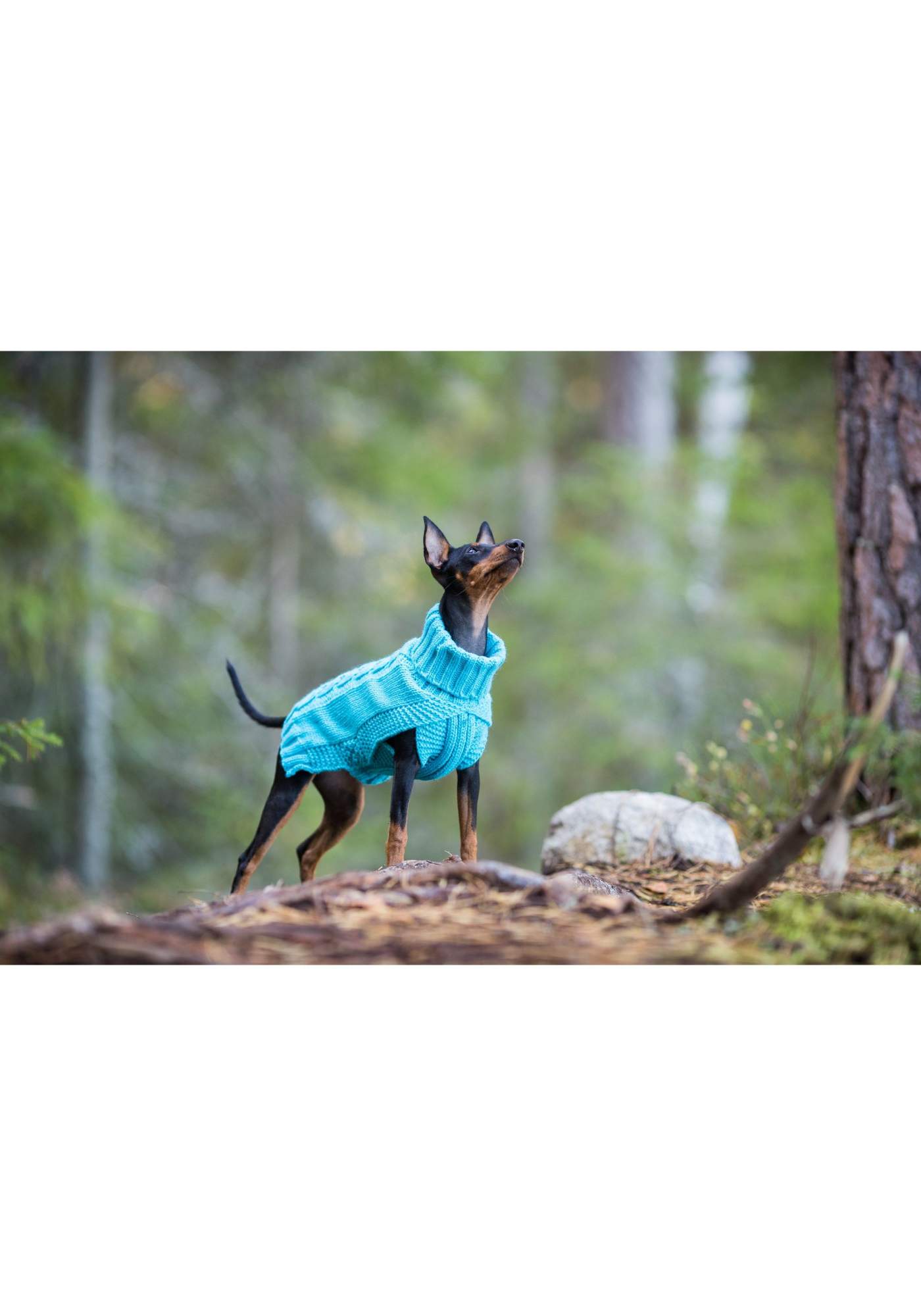 Свитер для собак RUKKA Wooly Knitwear размер S голубой 31см