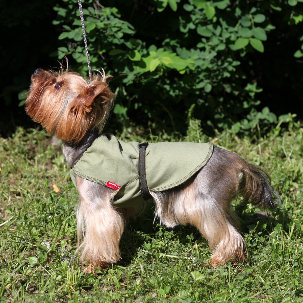 Попона для собак OSSO Fashion размер 3XL унисекс, зеленый, длина спины 50 см