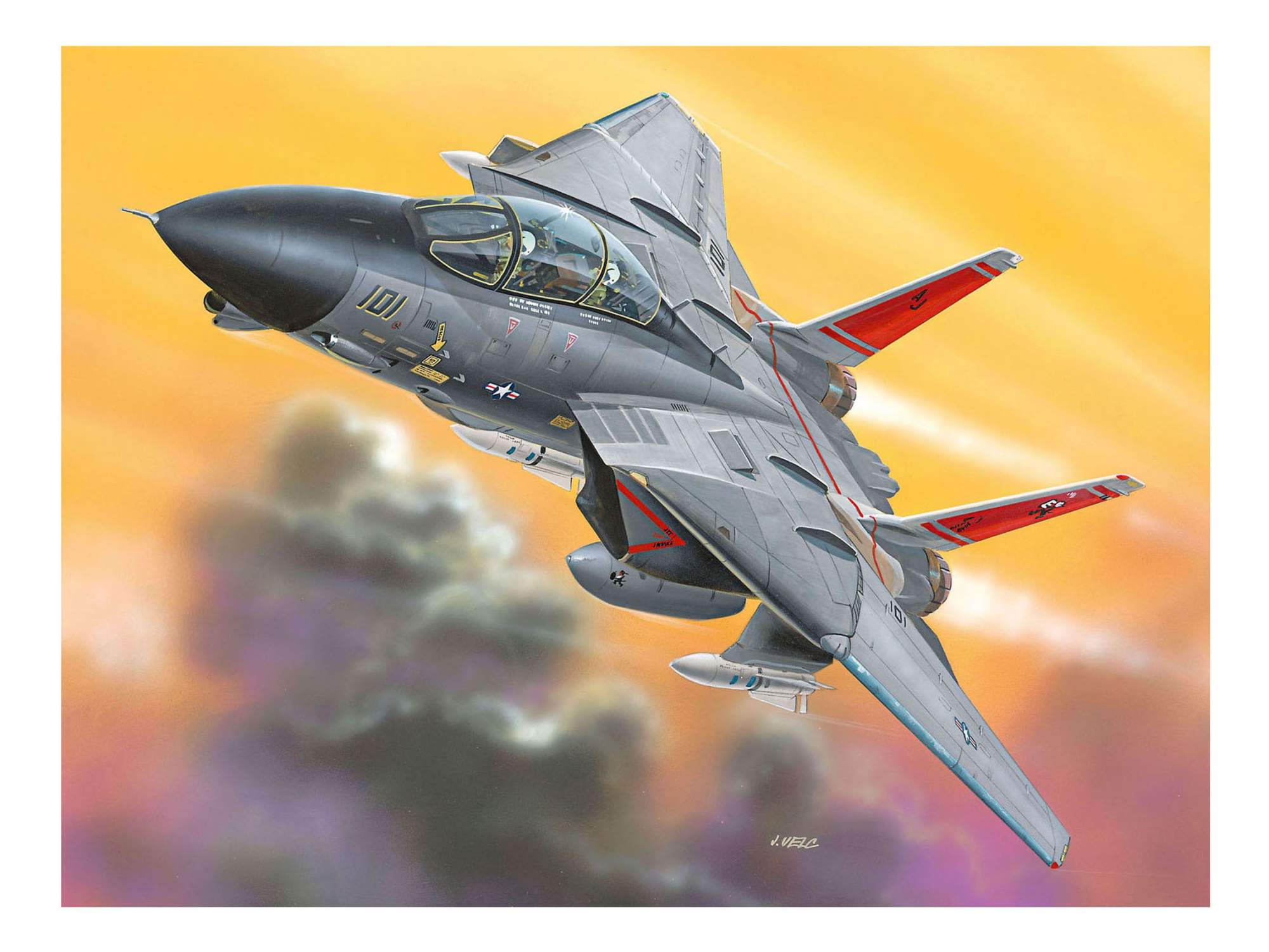 Истребитель читать полностью. F-14 Томкэт. F-14d Tomcat истребитель. F14 самолет. Военный самолет f14.